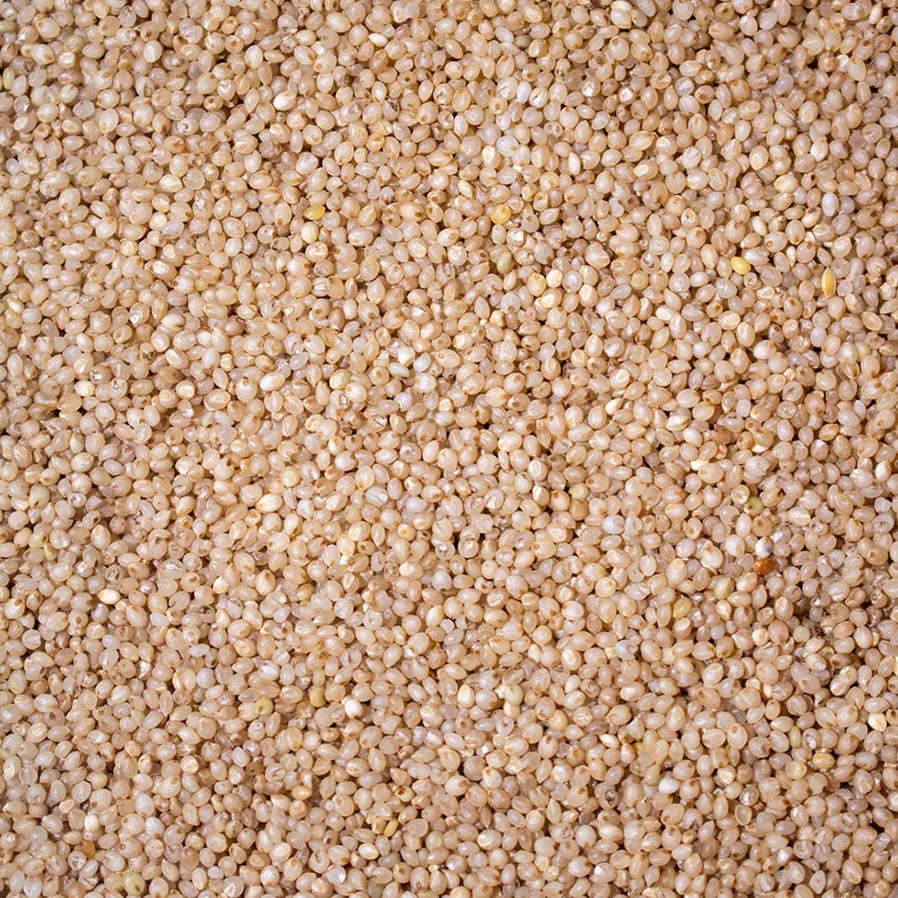 Little Millet / कुटकी